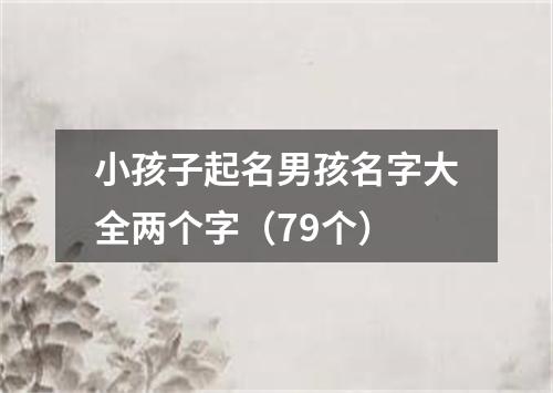 小孩子起名男孩名字大全两个字（79个）