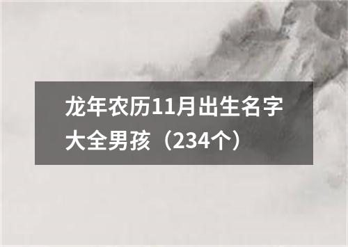 龙年农历11月出生名字大全男孩（234个）