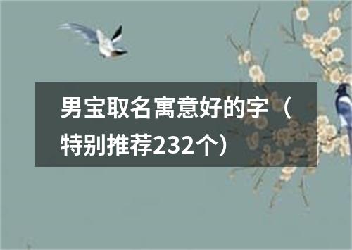 男宝取名寓意好的字（特别推荐232个）