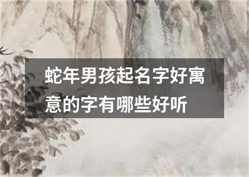 蛇年男孩起名字好寓意的字有哪些好听