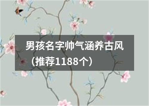 男孩名字帅气涵养古风（推荐1188个）