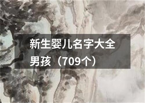 新生婴儿名字大全男孩（709个）