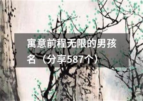 寓意前程无限的男孩名（分享587个）