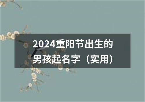 2024重阳节出生的男孩起名字（实用）