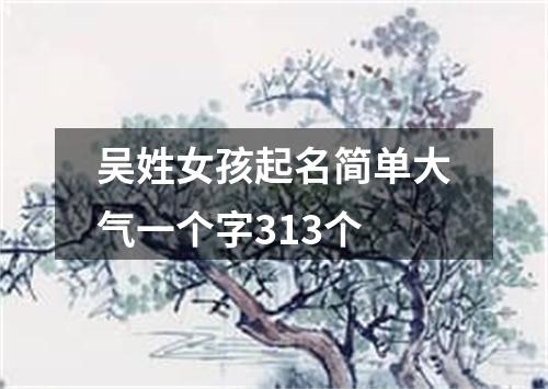 吴姓女孩起名简单大气一个字313个