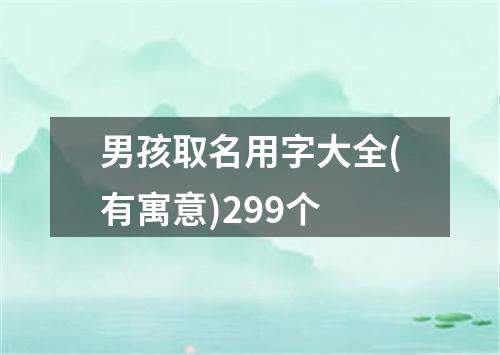 男孩取名用字大全(有寓意)299个