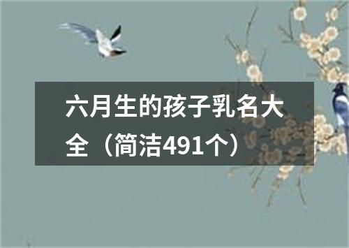 六月生的孩子乳名大全（简洁491个）