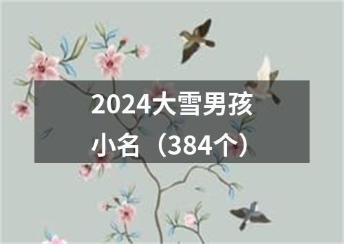 2024大雪男孩小名（384个）