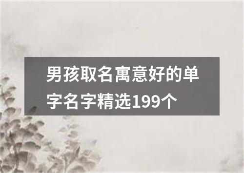 男孩取名寓意好的单字名字精选199个