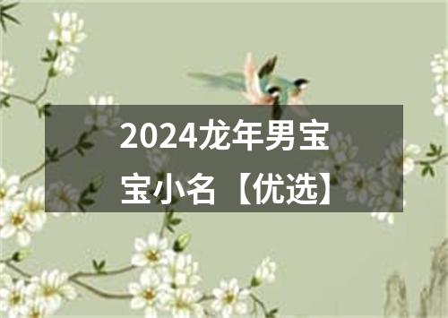 2024龙年男宝宝小名【优选】