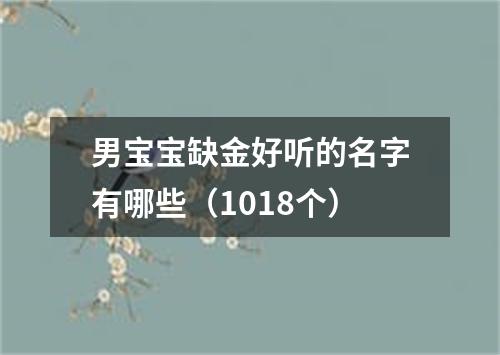 男宝宝缺金好听的名字有哪些（1018个）