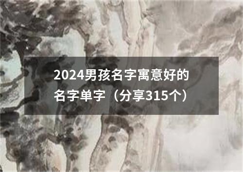 2024男孩名字寓意好的名字单字（分享315个）