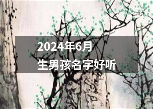 2024年6月生男孩名字好听