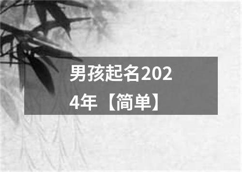 男孩起名2024年【简单】