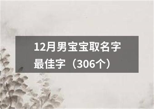 12月男宝宝取名字最佳字（306个）