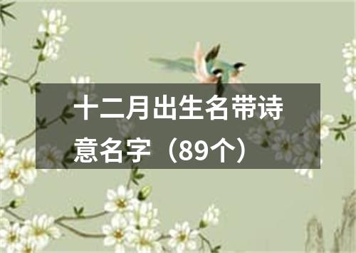 十二月出生名带诗意名字（89个）