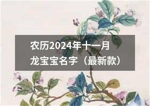 农历2024年十一月龙宝宝名字（最新款）