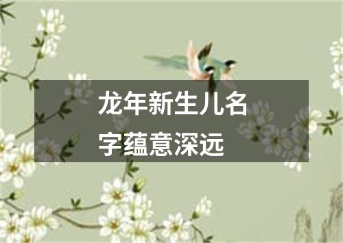 龙年新生儿名字蕴意深远