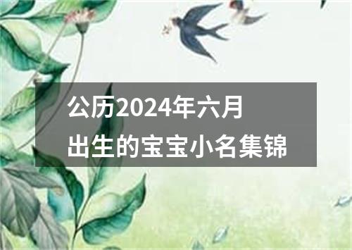 公历2024年六月出生的宝宝小名集锦