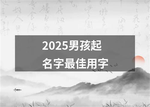 2025男孩起名字最佳用字