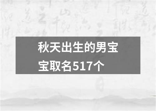 秋天出生的男宝宝取名517个