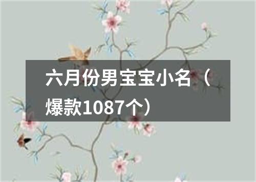 六月份男宝宝小名（爆款1087个）