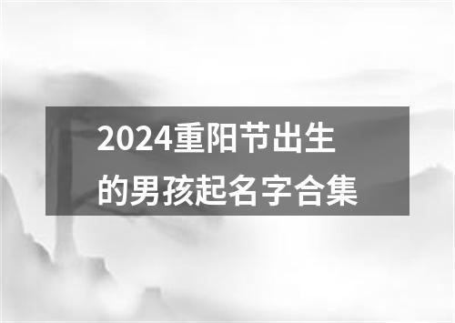 2024重阳节出生的男孩起名字合集