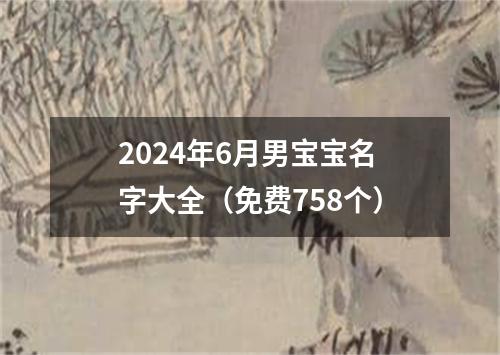 2024年6月男宝宝名字大全（免费758个）