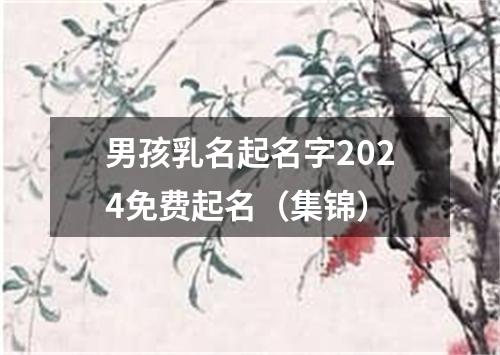 男孩乳名起名字2024免费起名（集锦）