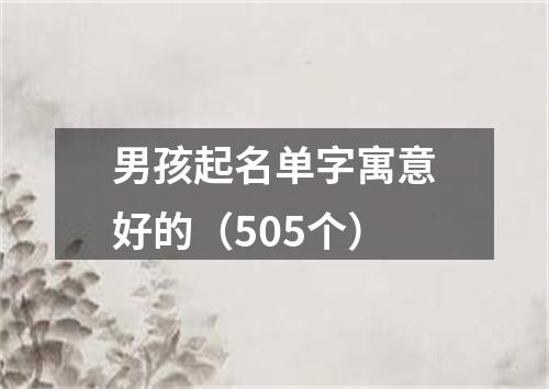 男孩起名单字寓意好的（505个）