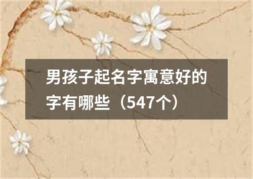 男孩子起名字寓意好的字有哪些（547个）