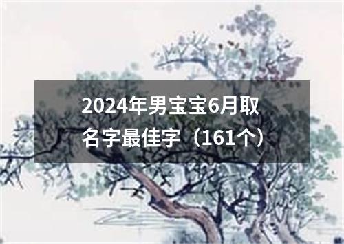 2024年男宝宝6月取名字最佳字（161个）