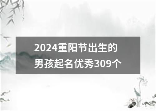 2024重阳节出生的男孩起名优秀309个