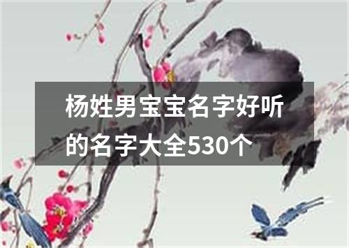 杨姓男宝宝名字好听的名字大全530个