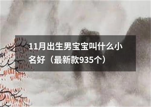 11月出生男宝宝叫什么小名好（最新款935个）