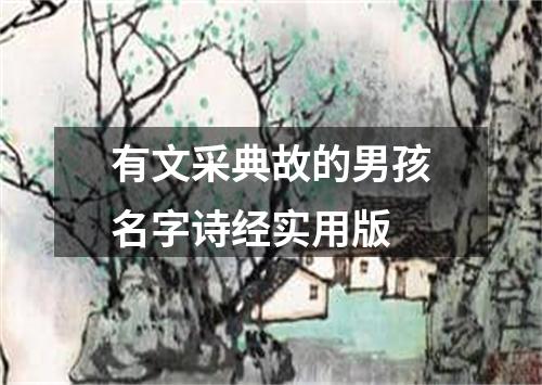 有文采典故的男孩名字诗经实用版