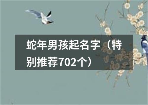 蛇年男孩起名字（特别推荐702个）