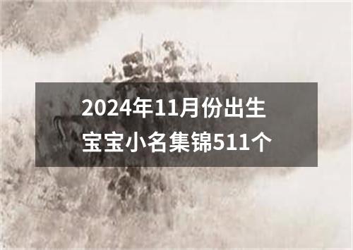 2024年11月份出生宝宝小名集锦511个