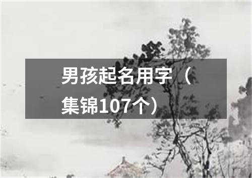 男孩起名用字（集锦107个）