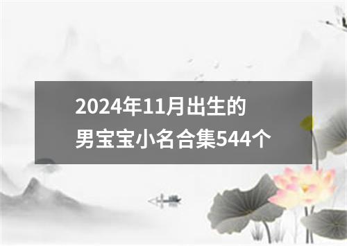 2024年11月出生的男宝宝小名合集544个