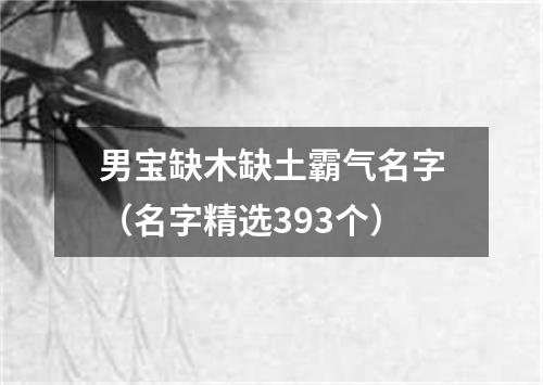 男宝缺木缺土霸气名字（名字精选393个）