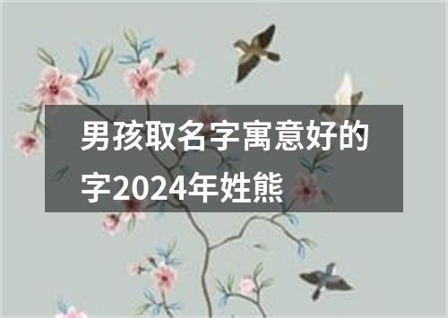 男孩取名字寓意好的字2024年姓熊