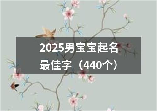 2025男宝宝起名最佳字（440个）