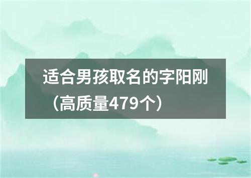 适合男孩取名的字阳刚（高质量479个）