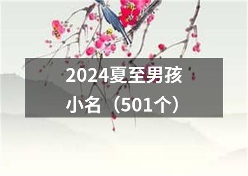 2024夏至男孩小名（501个）