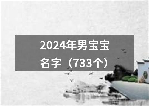 2024年男宝宝名字（733个）