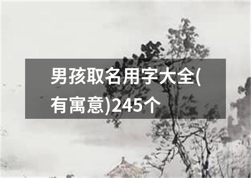 男孩取名用字大全(有寓意)245个