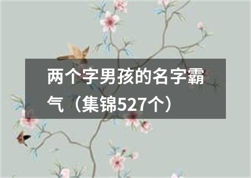 两个字男孩的名字霸气（集锦527个）