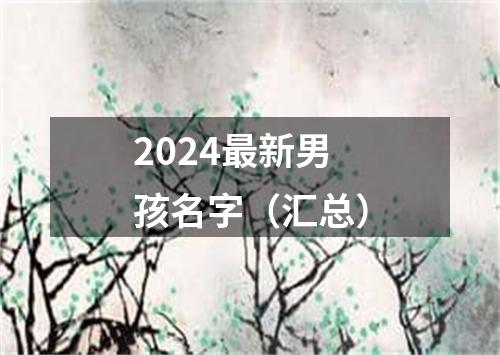 2024最新男孩名字（汇总）