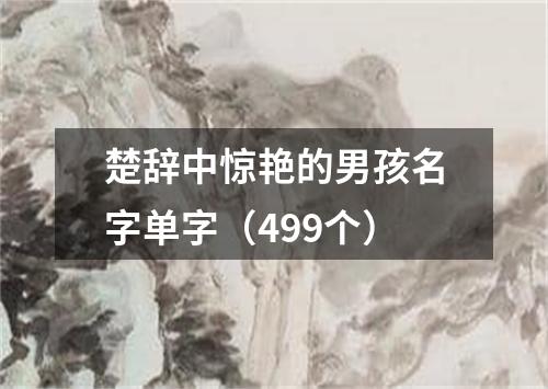 楚辞中惊艳的男孩名字单字（499个）